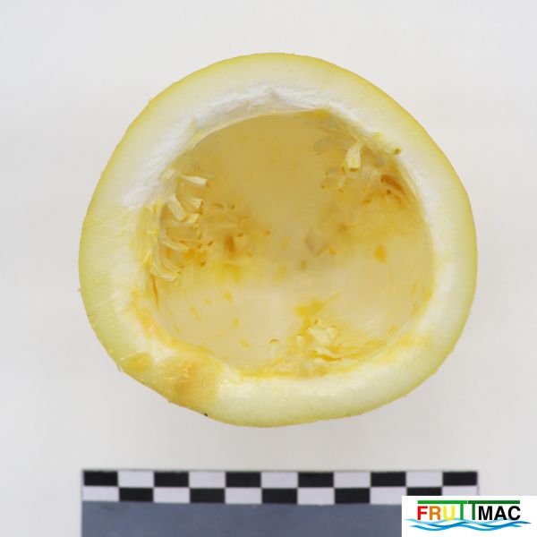 Archivo:895imageIMG 5752.JPG