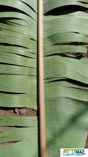 1021imageIMG 20250321 114041.111.jpg