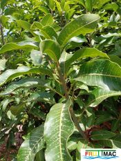 60imageIMG 20240716 115051(1).jpg