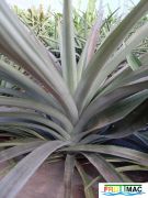 898imageIMG 20231129 093241.jpg