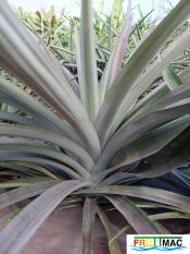 898imageIMG 20231129 093241.jpg