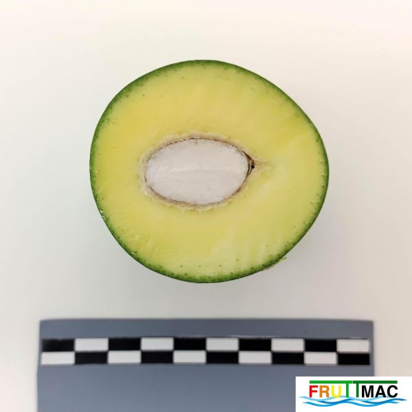 Archivo:621imageIMG 20230803 141958 (2).jpg