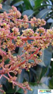629imageIMG 20250120 110307.11.jpg