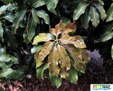 100imageMunIMG 1035 (3).jpg