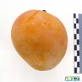 110imageIMG 4741.JPG