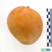 110imageIMG 4741.JPG