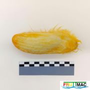 622imageIMG 20230807 123403 (2).jpg