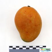 115imageIMG 4725.JPG