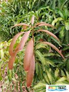 630imageIMG 20240605 112319.jpg
