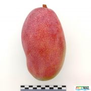132imageIMG 20230821 124246.jpg