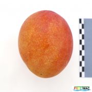 440imageIMG 2103(2).JPG