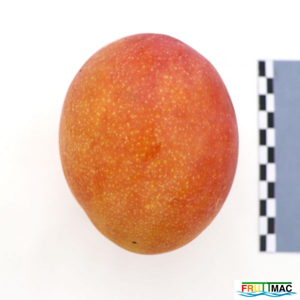 Archivo:440imageIMG 2103(2).JPG