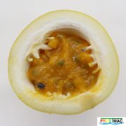 895imageIMG 5748.JPG