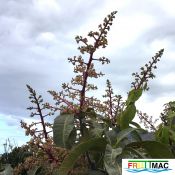 632imageIMG 3902.JPG
