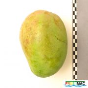 71imageIMG 0432.JPG