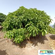 627imageIMG 20240716 115102(1).jpg