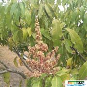 72imageIMG 19700105 154320 (2).jpg