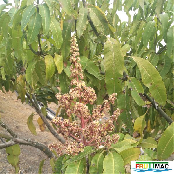 Archivo:72imageIMG 19700105 154320 (2).jpg