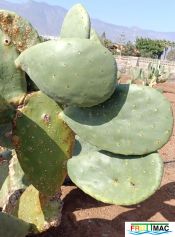 991imageIMG 20241218 125135.1.jpg