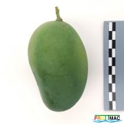 621imageIMG 20230803 141858 (2).jpg