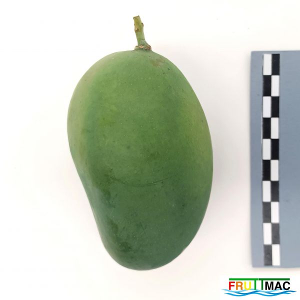 Archivo:621imageIMG 20230803 141858 (2).jpg