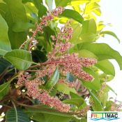 627imageIMG 20241230 114500.111.jpg