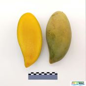 100imageIMG 20230807 110907 (2).jpg