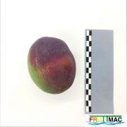 105imageIMG 20230725 122537 (2)BD.jpg