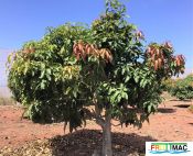 68image20190319 12.02.24 (2).jpg