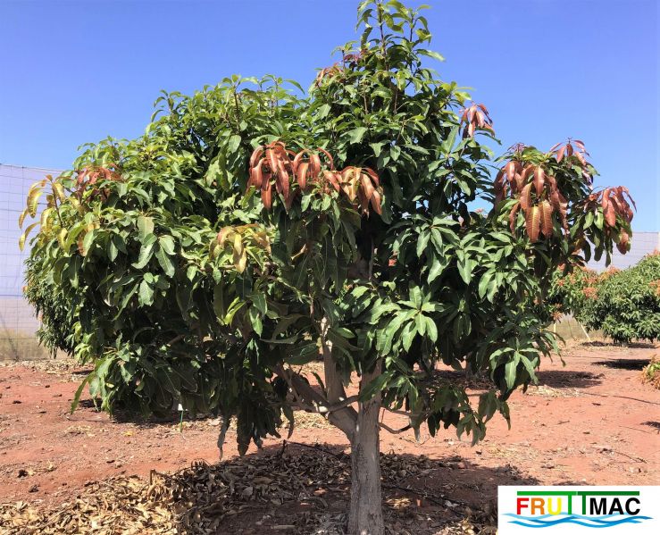 Archivo:68image20190319 12.02.24 (2).jpg