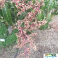 94imageIMG 19700105 153004.jpg