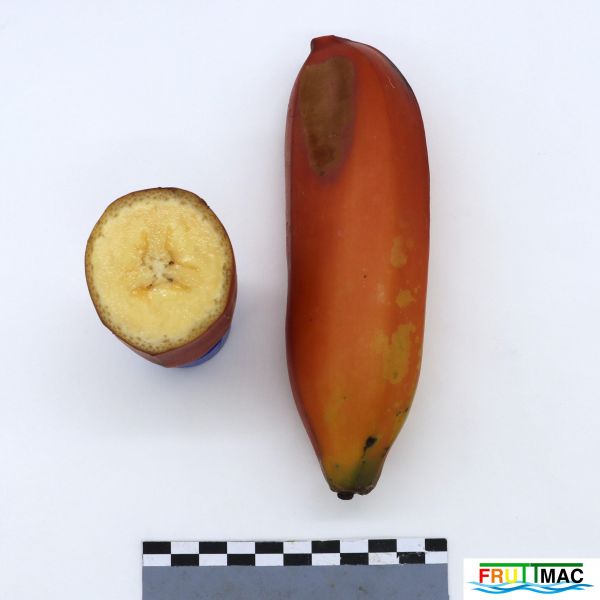 Archivo:1021imageIMG 8586.1111.JPG