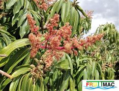 440imageIMG 20230220 131746 (3).jpg