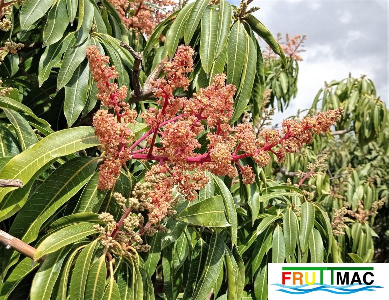 Archivo:440imageIMG 20230220 131746 (3).jpg