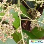 621imageIMG 20241230 124347.66.jpg