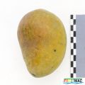 66imageIMG 7969.1.JPG