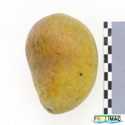 66imageIMG 7969.1.JPG