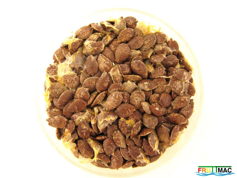 Archivo:895imageIMG 0107.JPG