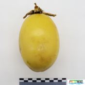 895imageIMG 5737.JPG