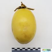 895imageIMG 5737.JPG