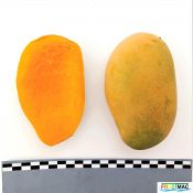 93imageIMG 20230704 112841.jpg