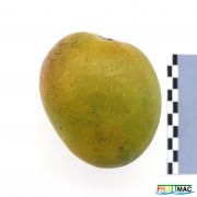 57imageIMG 3619.JPG