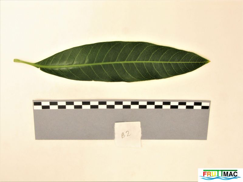 Archivo:621imageIMG 0805 (3).JPG