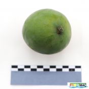 621imageIMG 2244.JPG