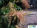 100imageMunIMG 1032.jpg