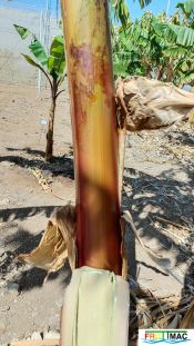 1021imageIMG 20250321 112802.111.jpg