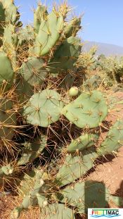 485imageIMG 20241218 124536.1.jpg