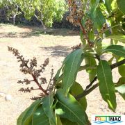 72imageP1020557 (2).JPG