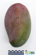 88imageIMG 4328.JPG