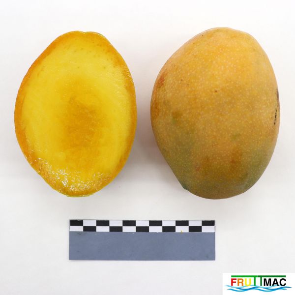 Archivo:60imageIMG 2685.JPG